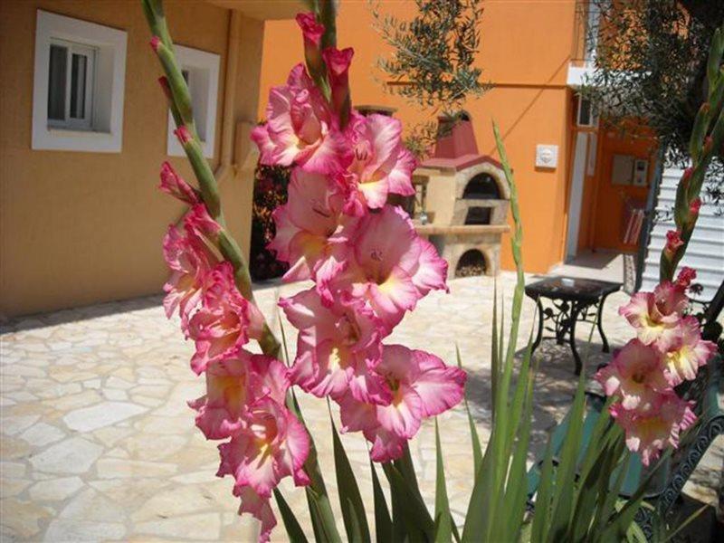 Erietta Studios Svoronata Exterior photo